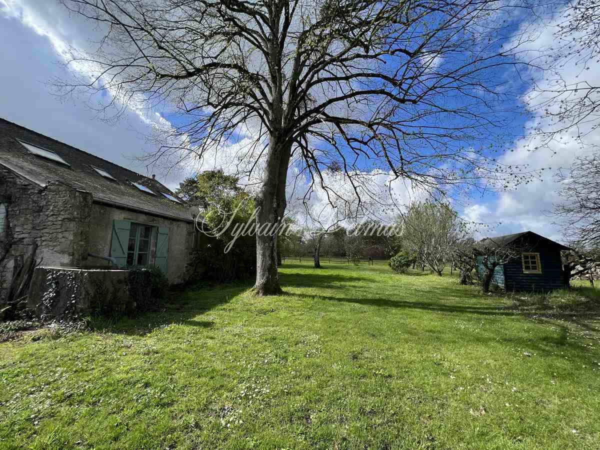 Domaine — PROPRIETE DE CHARME 375 M² à 20 minutes de TOURS sur 3 hectares