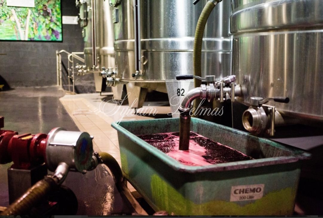 Prestigieux vignoble Bordelais sur 67 hectares