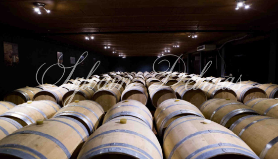 Prestigieux vignoble Bordelais sur 67 hectares