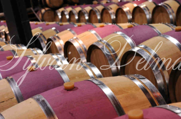 Prestigieux vignoble Bordelais sur 67 hectares