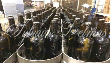 Prestigieux vignoble Bordelais sur 67 hectares