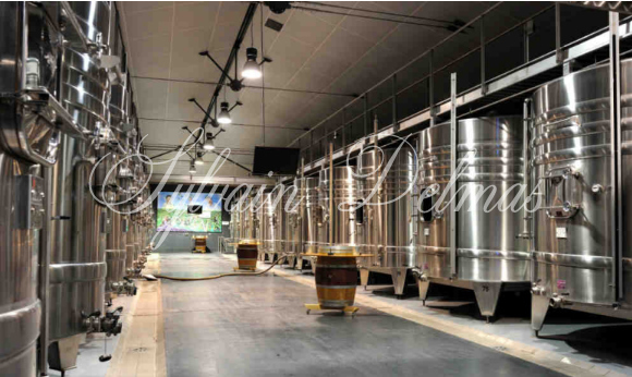 Prestigieux vignoble Bordelais sur 67 hectares