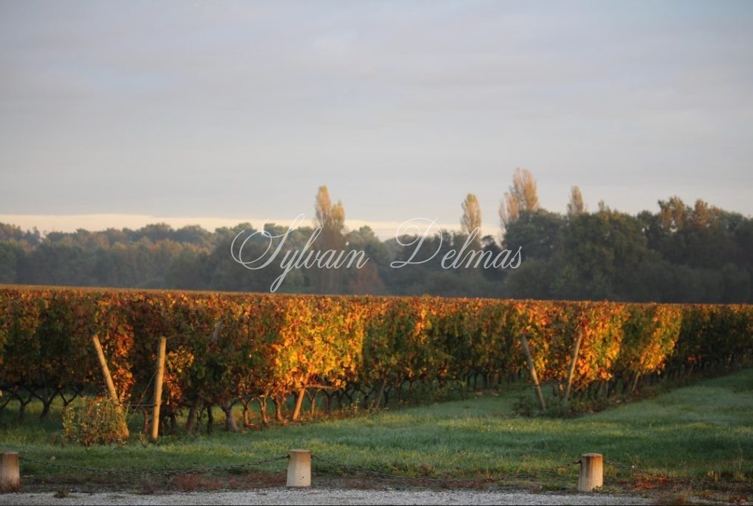 Prestigieux vignoble Bordelais sur 67 hectares