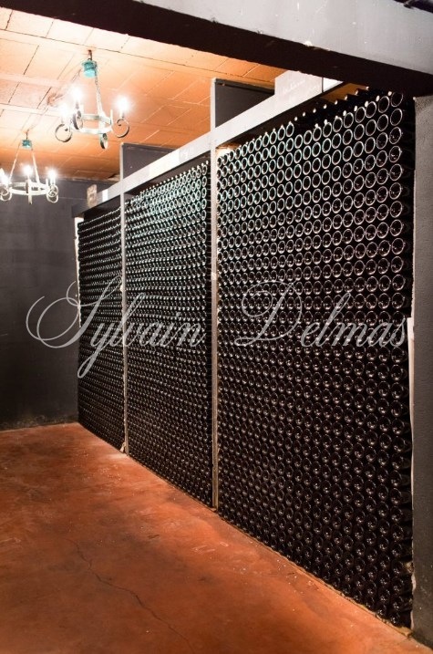 Prestigieux vignoble Bordelais sur 67 hectares