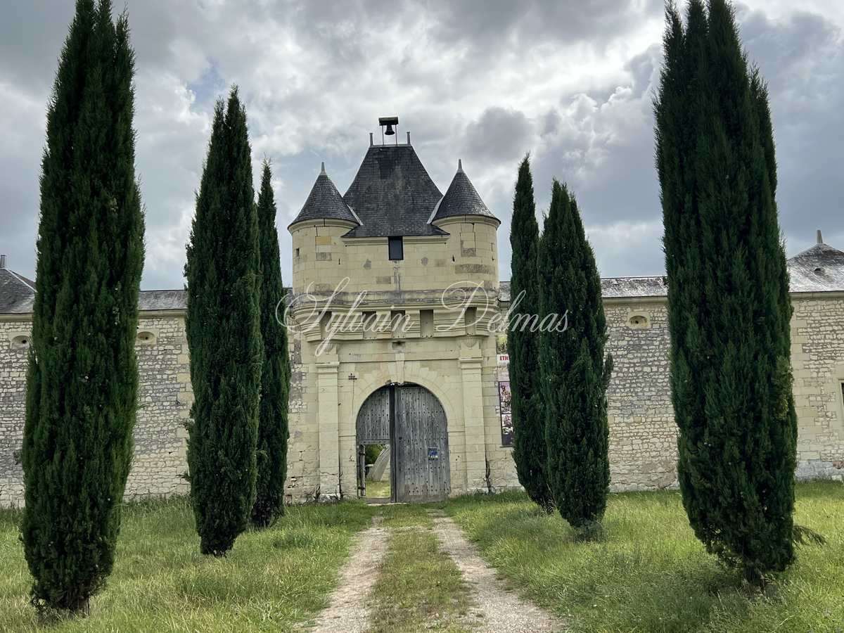 Château — AUTHENTIQUE CHATEAU XIV et XVII° proche de Chinon