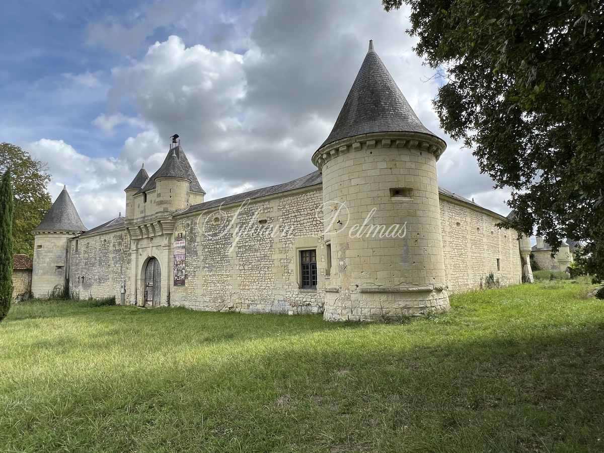 Château — AUTHENTIQUE CHATEAU XIV et XVII° proche de Chinon