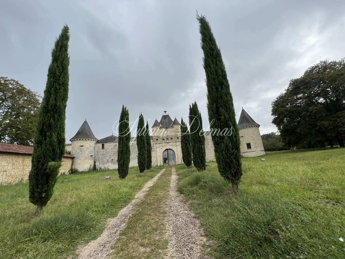 Château — AUTHENTIQUE CHATEAU XIV et XVII° proche de Chinon