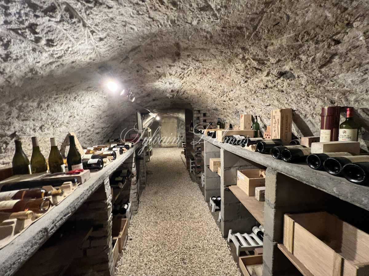 Maison de maître — PROPRIETE DU XIX° SURBLOMBANT L'INDRE