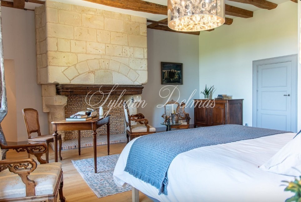 A VENDRE Château à 20 km de Tours centre accès A85 Entièrement restauré sur 10 hectares