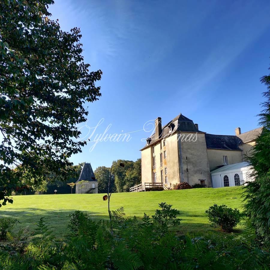 Château — A VENDRE CHATEAU XVII ÈME PROCHE DE RENNES