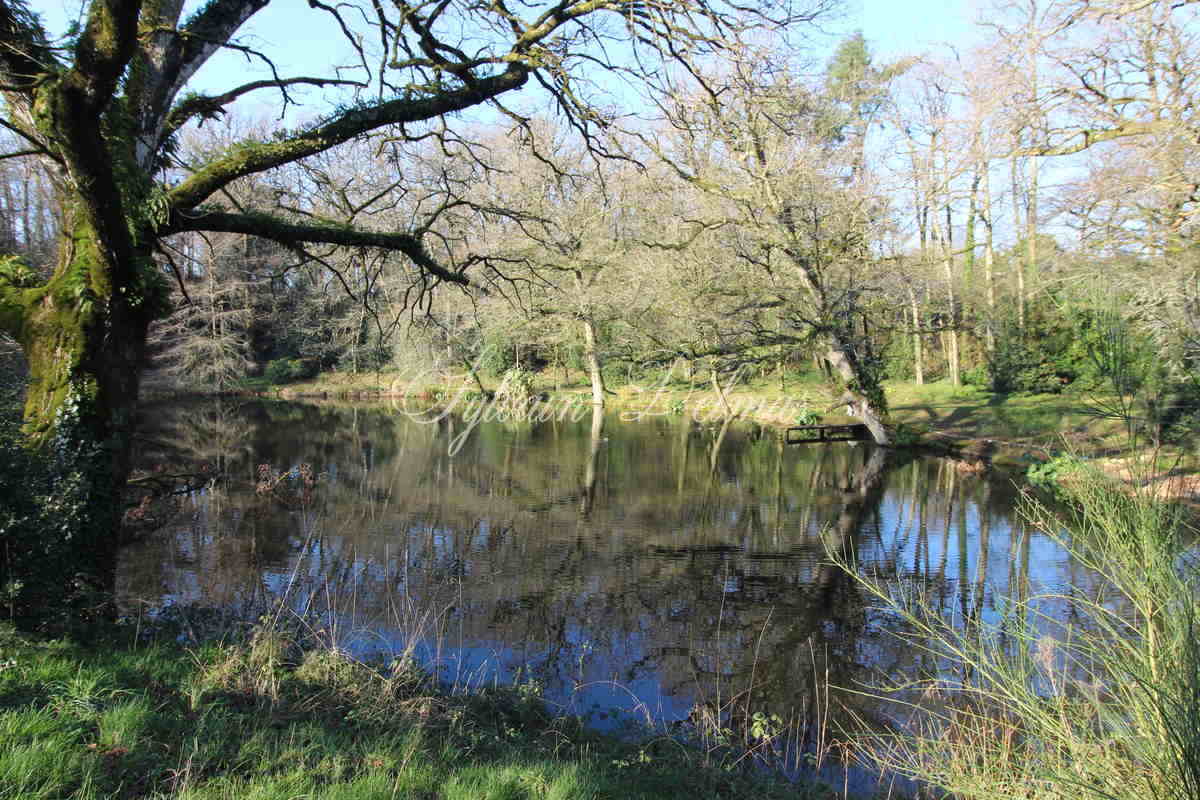 Château — A VENDRE CHATEAU XVII ÈME PROCHE DE RENNES