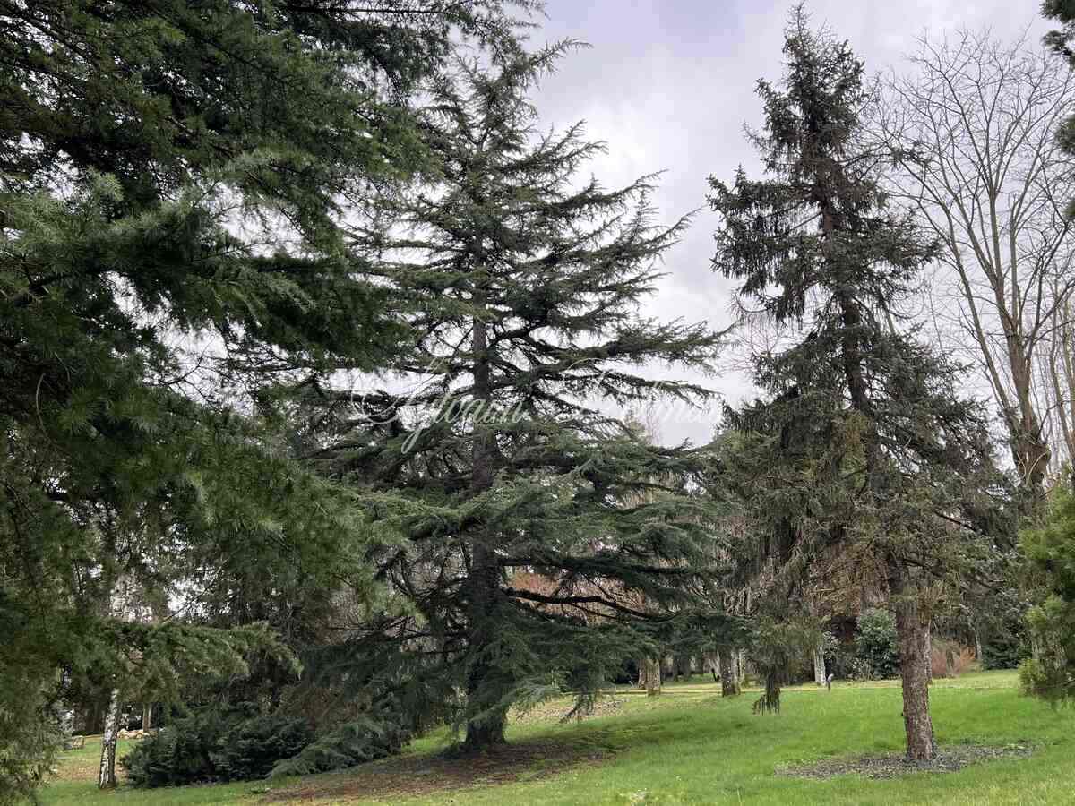 Domaine — PROPRIETE SUR 1.5 HECTARES EN PERIPHERIE DE TOURS SUD