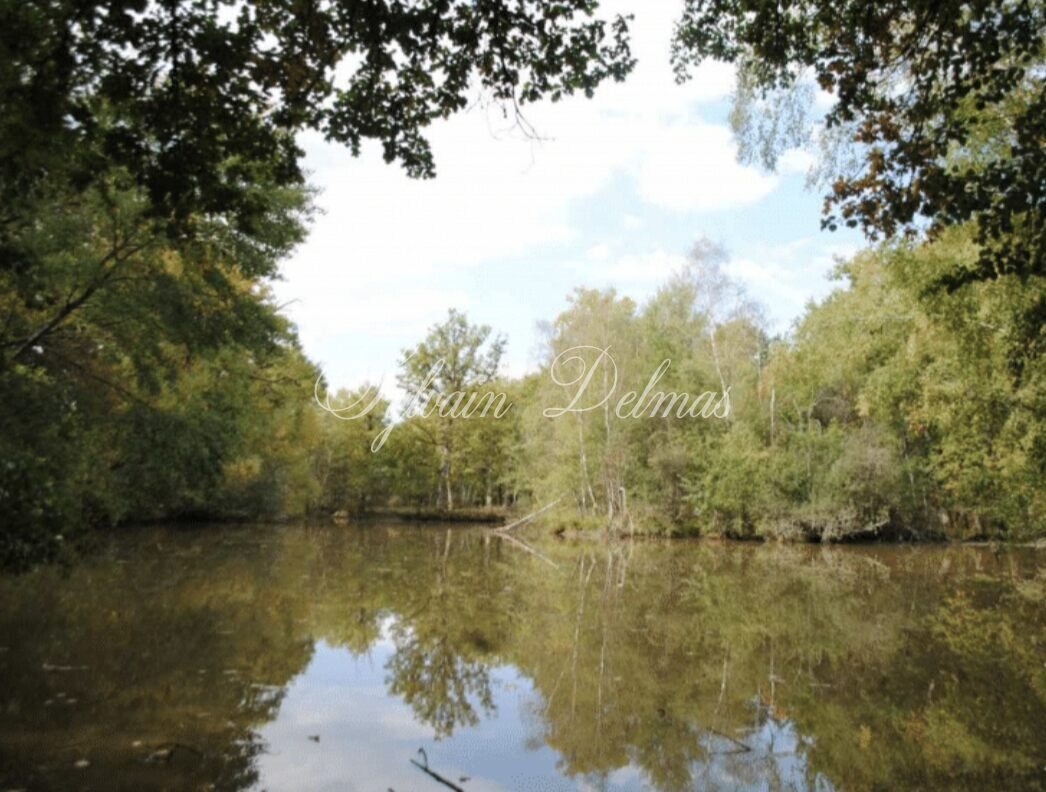 Propriété de chasse — Exceptionnel domaine de chasse en Sologne