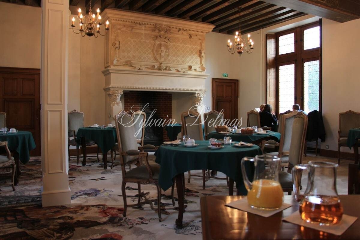A vendre fabuleux Château Renaissance sur un domaine de 26 hectares