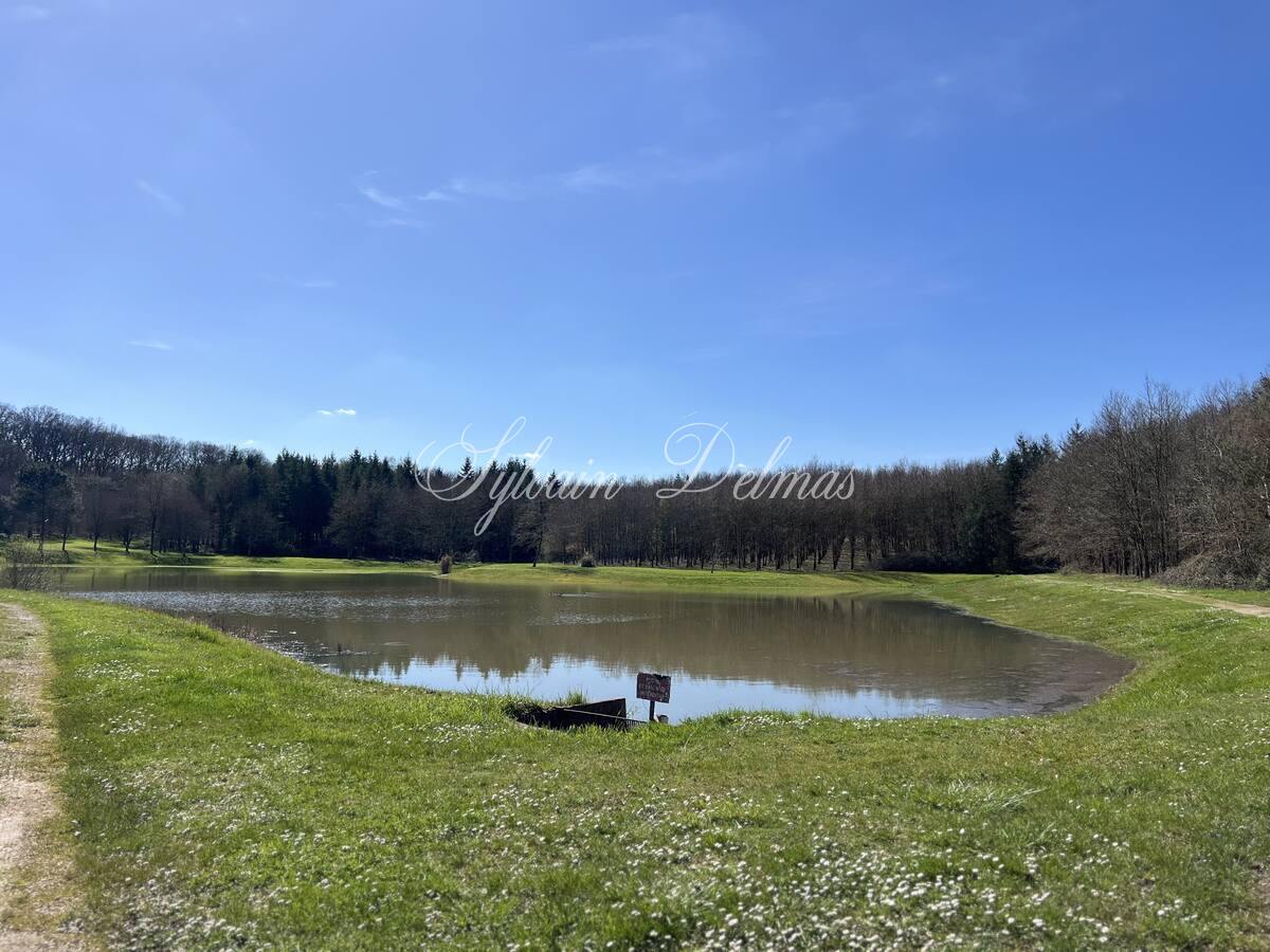 A vendre fabuleux Château Renaissance sur un domaine de 26 hectares