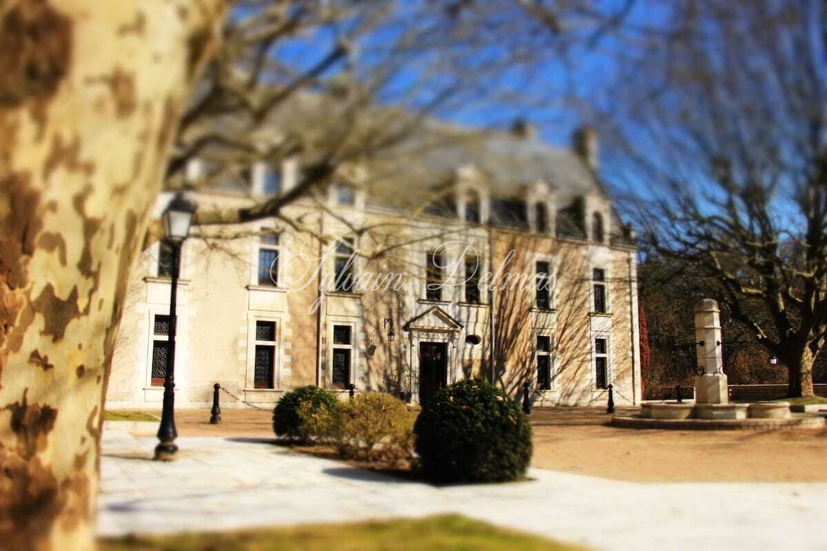 A vendre fabuleux Château Renaissance sur un domaine de 26 hectares