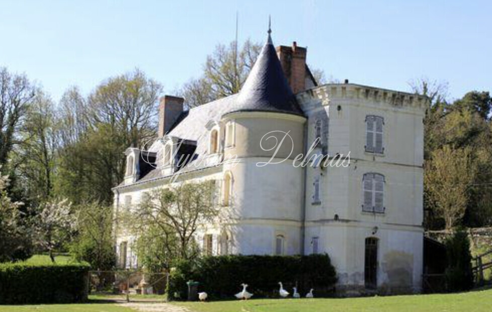 A vendre, rare opportunité petit château du XVI et XVII ème à restaurer 550K€