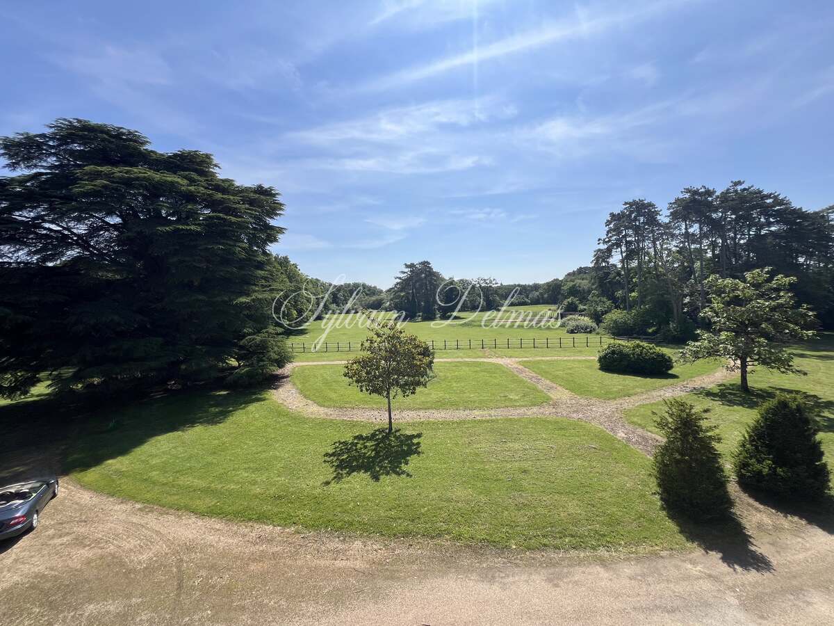 Château — CHATEAU XVI ème sur 18 hectares