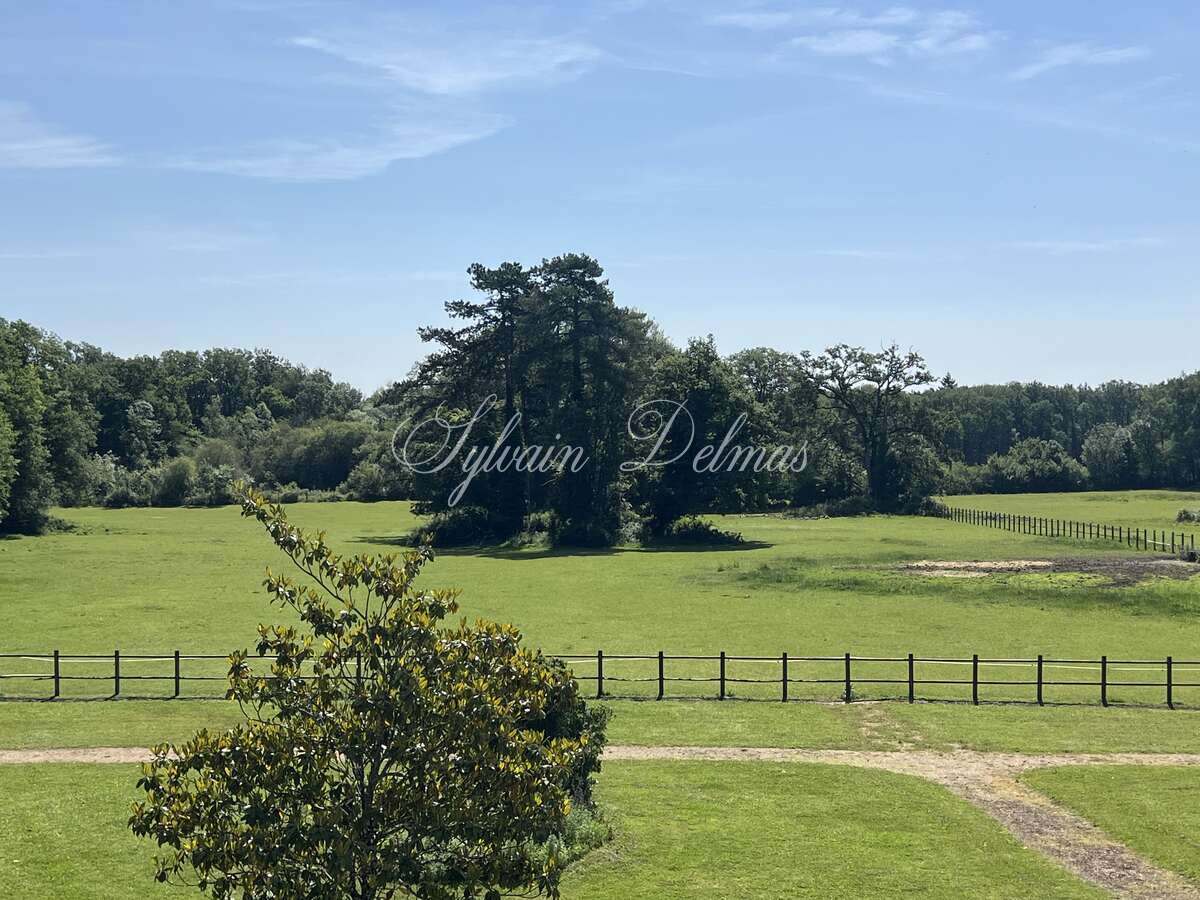 Château — CHATEAU XVI ème sur 18 hectares