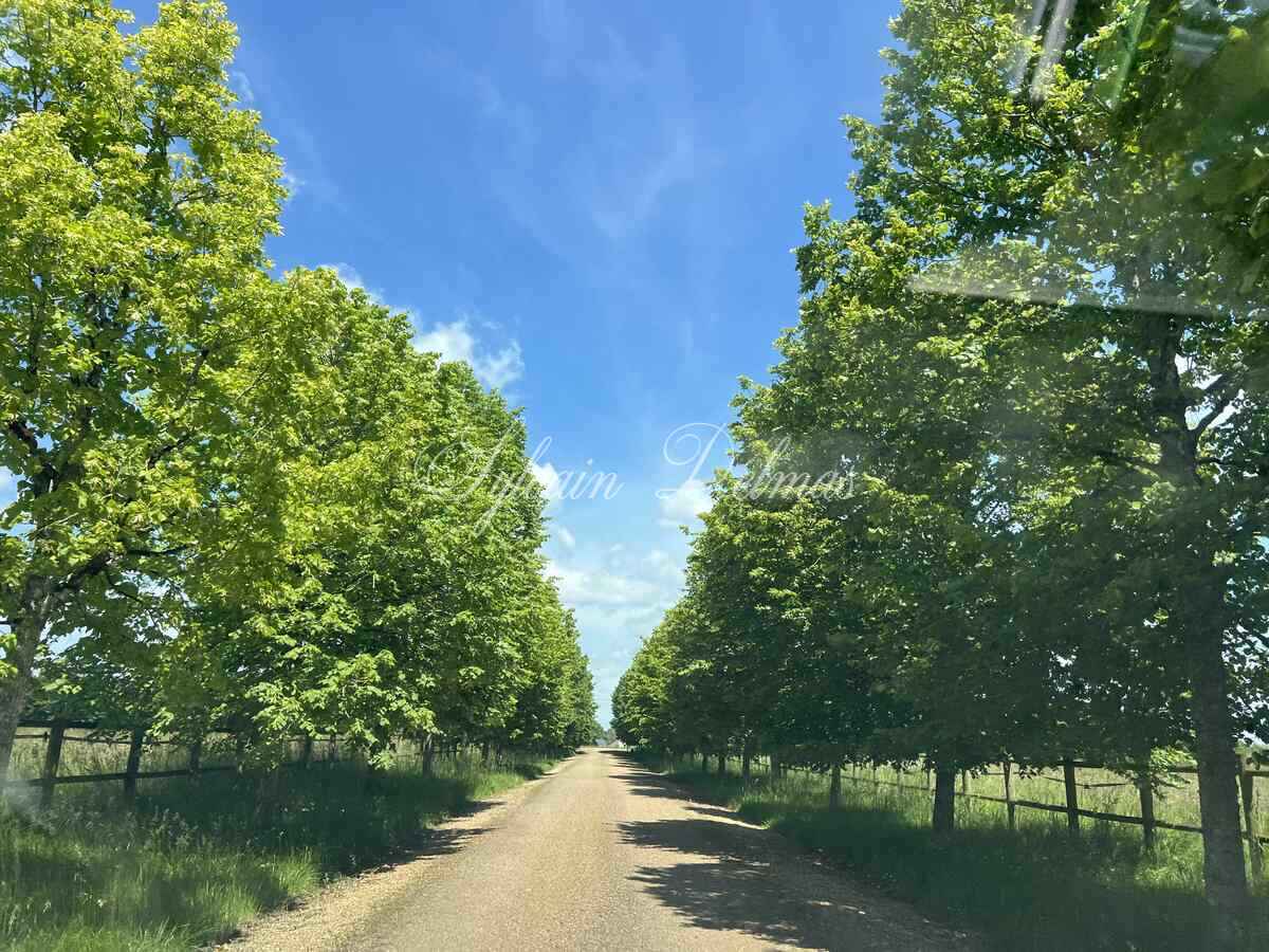 Château — CHATEAU XVI ème sur 18 hectares