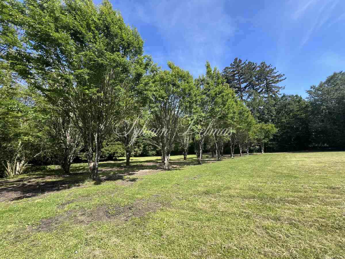 Château — CHATEAU XVI ème sur 18 hectares