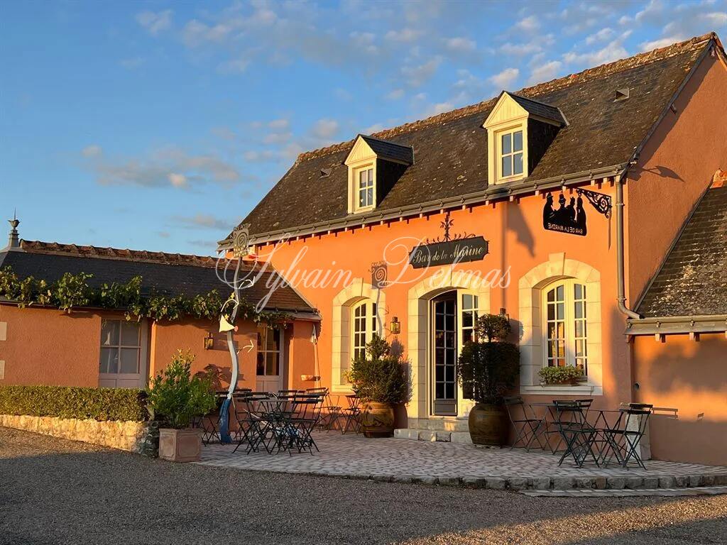 Domaine — Proche de Tours propriété d'exception avec une vue à couper le souffle 2.2M€