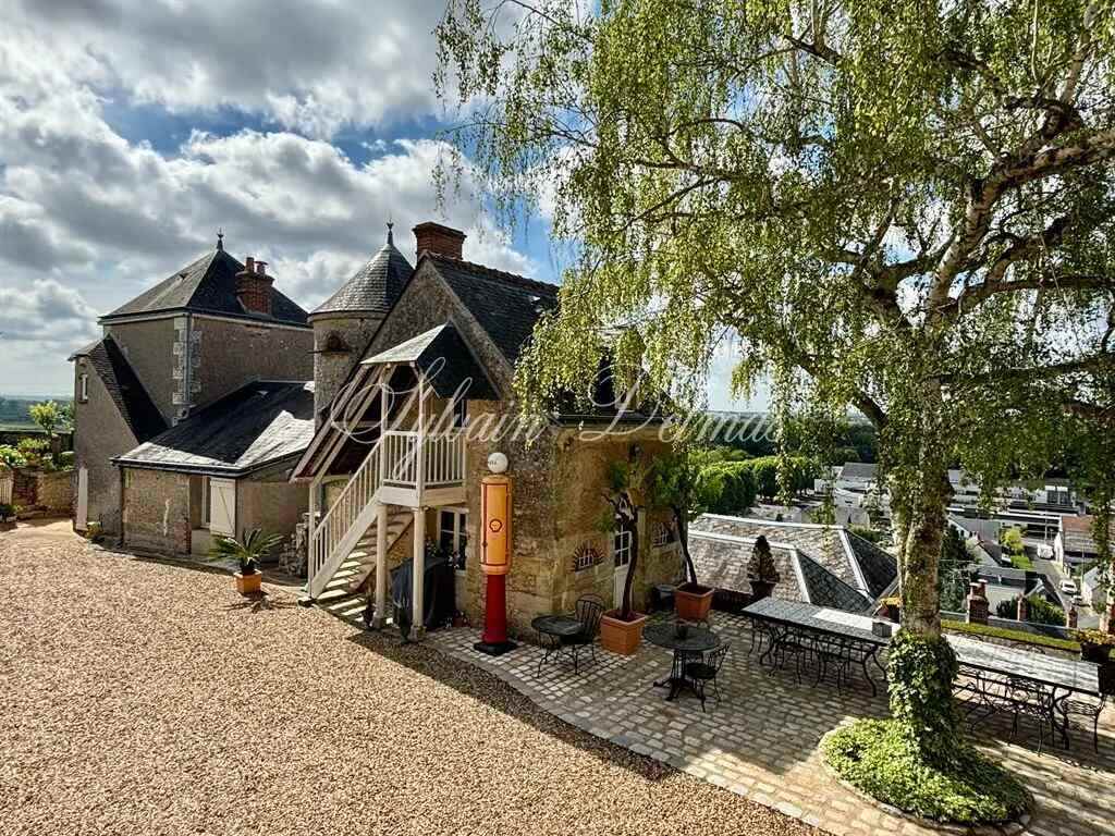 Domaine — Proche de Tours propriété d'exception avec une vue à couper le souffle 2.2M€