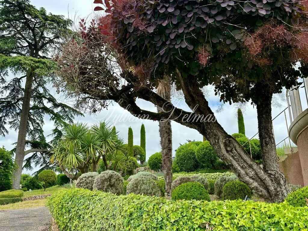 Domaine — Proche de Tours propriété d'exception avec une vue à couper le souffle 2.2M€