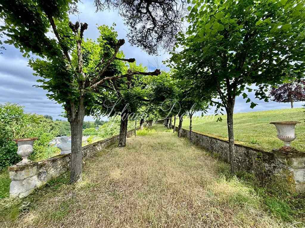 Domaine — Proche de Tours propriété d'exception avec une vue à couper le souffle 2.2M€