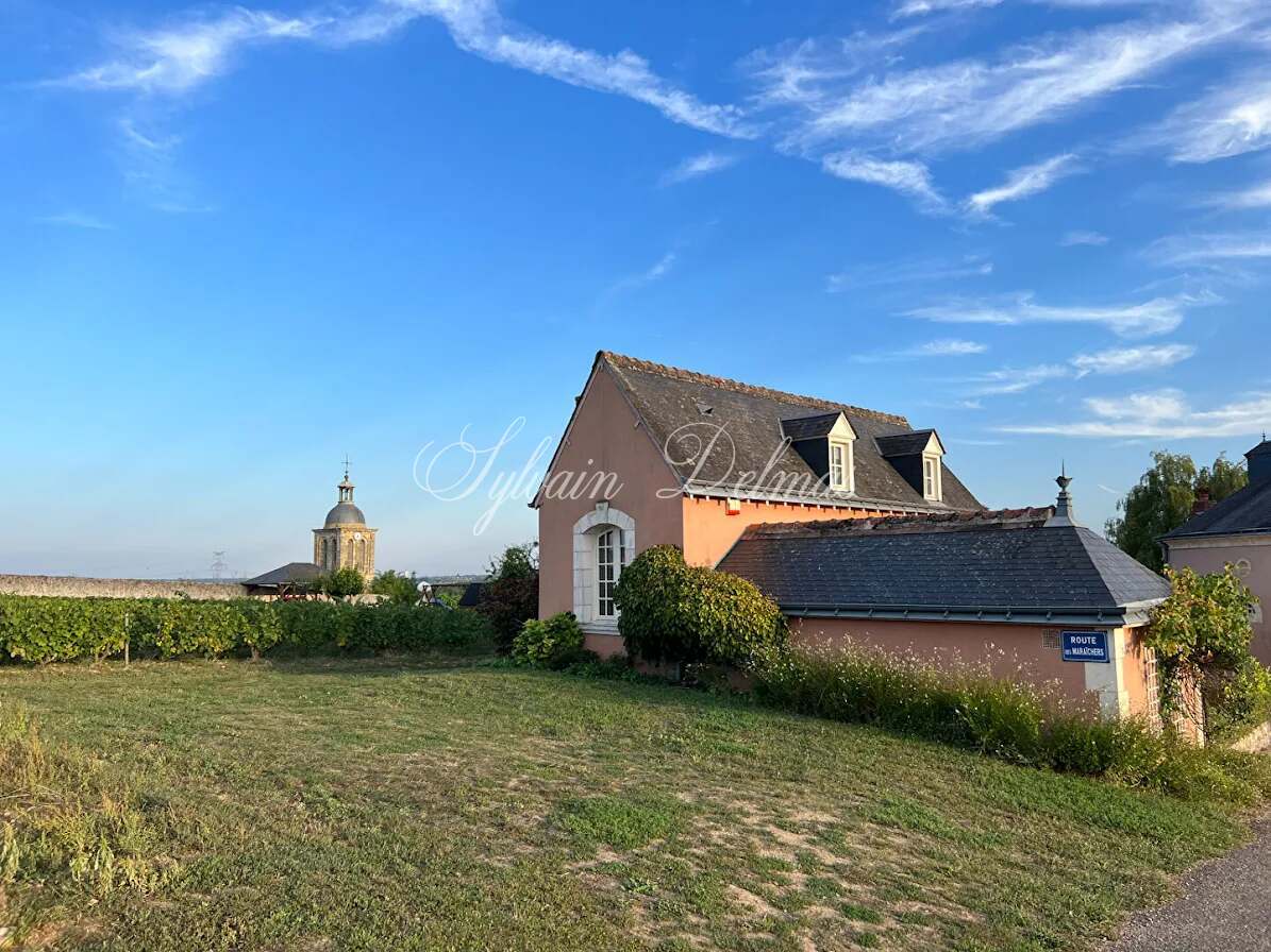 Domaine — Proche de Tours propriété d'exception avec une vue à couper le souffle 2.2M€