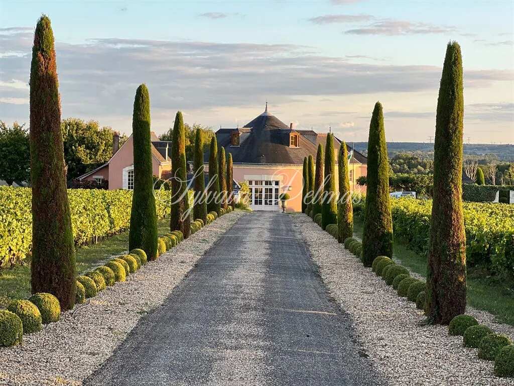 Domaine — Proche de Tours propriété d'exception avec une vue à couper le souffle 2.2M€