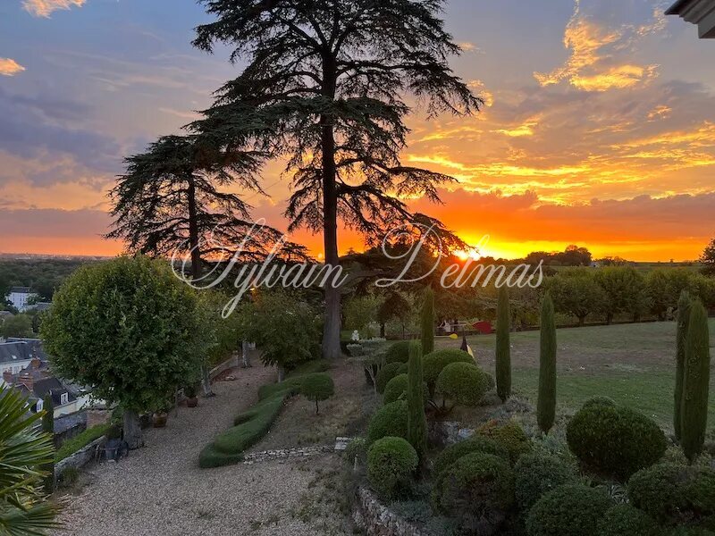 Domaine — Proche de Tours propriété d'exception avec une vue à couper le souffle 2.2M€