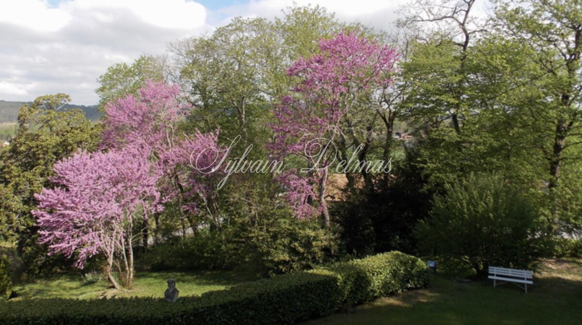 A vendre Château 900 m² à PERIGUEUX