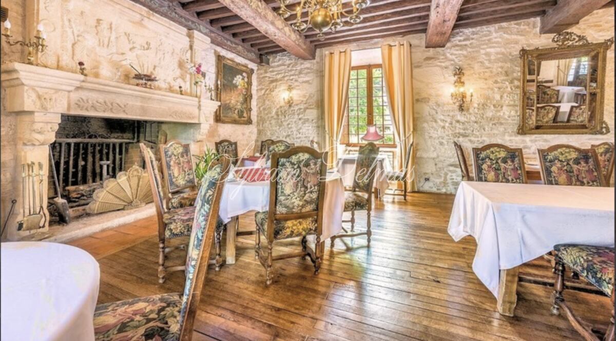 Château — CHATEAU HISTORIQUE XII ET XVème dans le PERIGORD