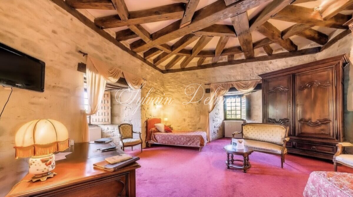 Château — CHATEAU HISTORIQUE XII ET XVème dans le PERIGORD