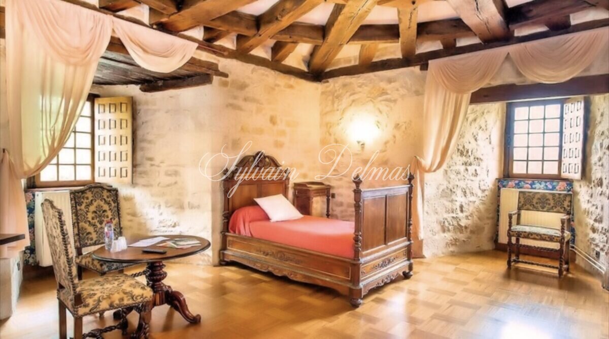 Château — CHATEAU HISTORIQUE XII ET XVème dans le PERIGORD
