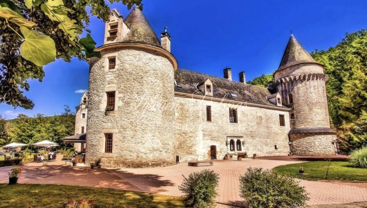 Château — CHATEAU HISTORIQUE XII ET XVème dans le PERIGORD