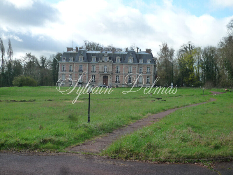 Château — EN REGION PARISIENNE CHATEAU de 4453 M2 IDEAL POUR PROJET HOTELIER