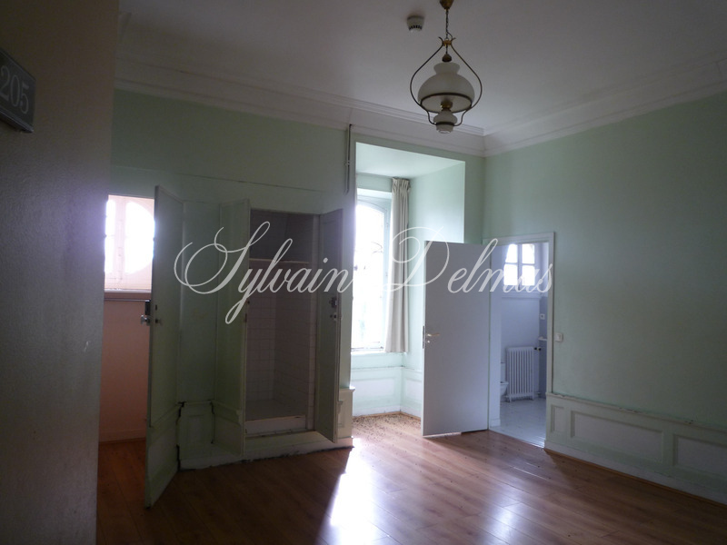 Château — EN REGION PARISIENNE CHATEAU de 4453 M2 IDEAL POUR PROJET HOTELIER