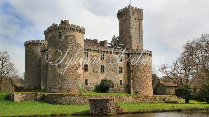 Un château médiéval Dans le Périgord du XIIe siècle situé sur un vaste domaine de 170 hectares avec une restauration complète qui honore son patrimoine.