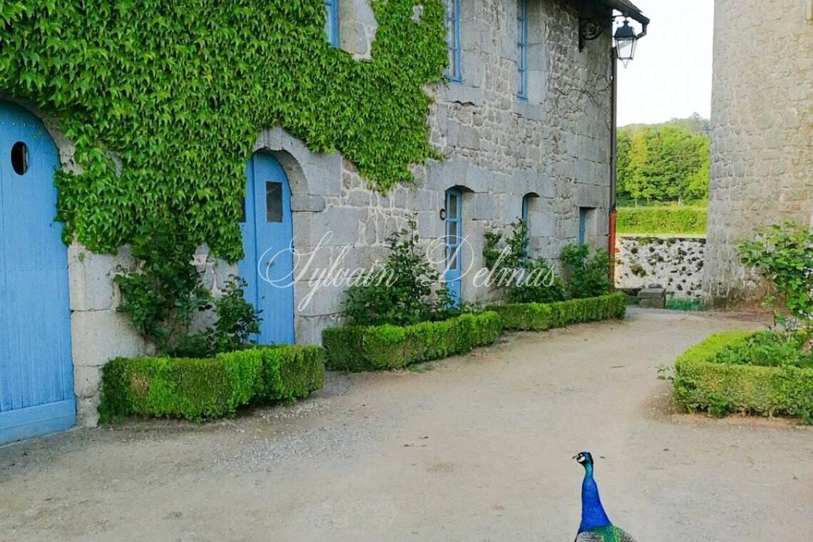 Château — FABULEUX CHATEAU DU XVème dans la CREUSE