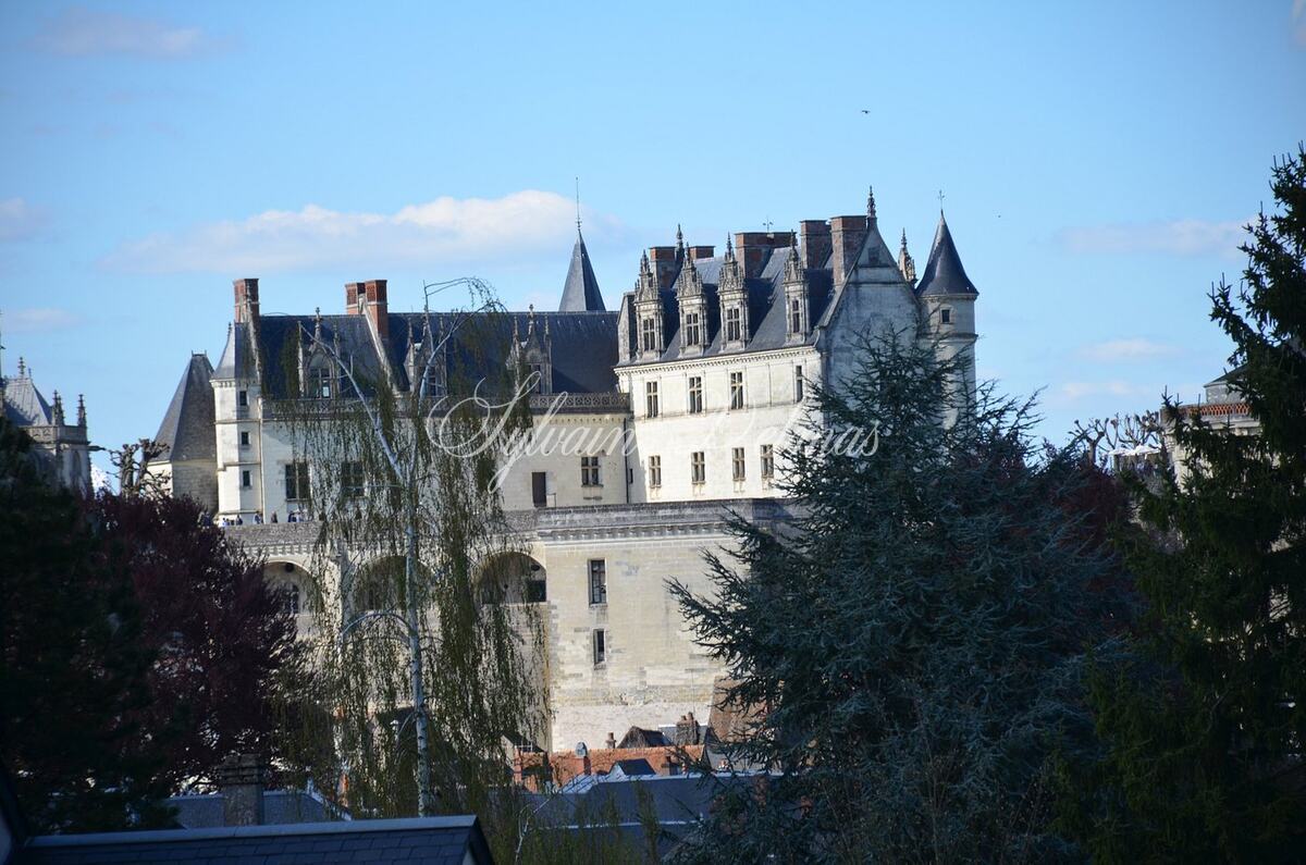 MANOIR PLEIN CENTRE D'AMBOISE avec un gros potentiel d'hébergements touristiques