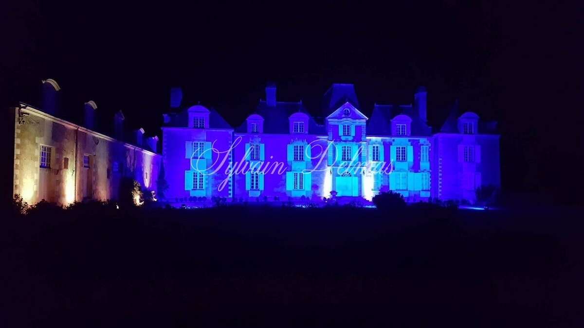 Château XVIII ° ET ENSEMBLE HOTELIER SUR PLUS DE 150 HESTARES  12M€