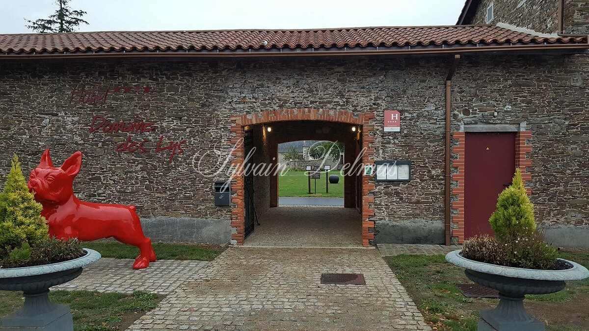 Château XVIII ° ET ENSEMBLE HOTELIER SUR PLUS DE 150 HESTARES  12M€