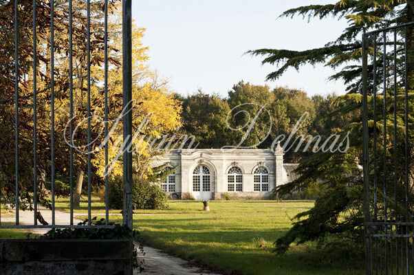 Château XVIII ° ET ENSEMBLE HOTELIER SUR PLUS DE 150 HESTARES  12M€