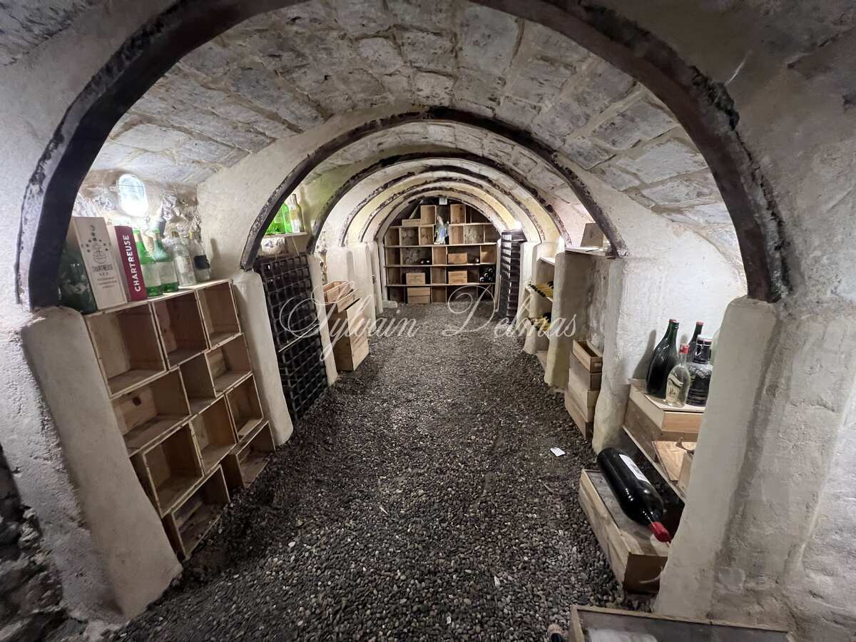 Hôtel particulier — Maison XIX ème en tuffeaux quartier cathédrale Tours 240 M2