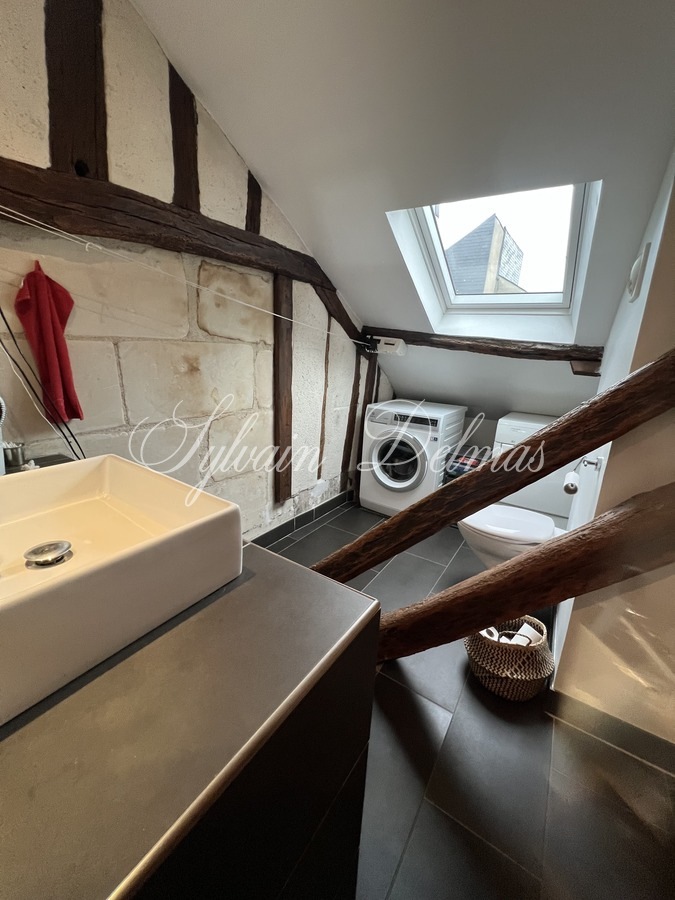 Hôtel particulier — Maison XIX ème en tuffeaux quartier cathédrale Tours 240 M2