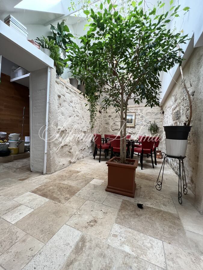 Hôtel particulier — Maison XIX ème en tuffeaux quartier cathédrale Tours 240 M2