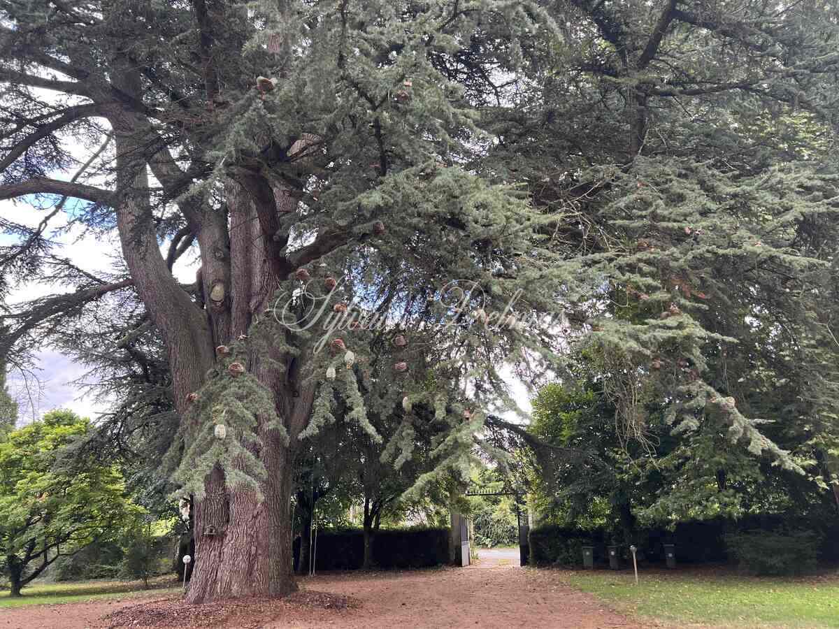 Manoir — Propriété XVIII ème plein coeur de Fondettes dans un parc d'1.5 hectares.