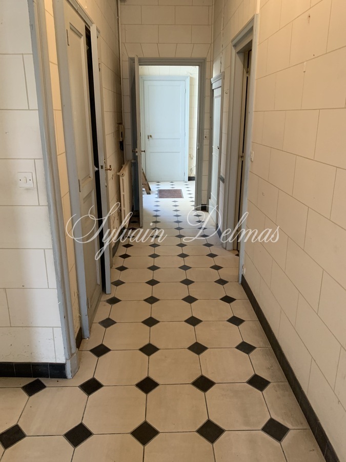 Maison de maître — Opportunité rare sur Amboise